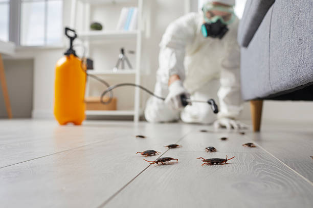 Commercial Kitchen Cockroach Control in Winters